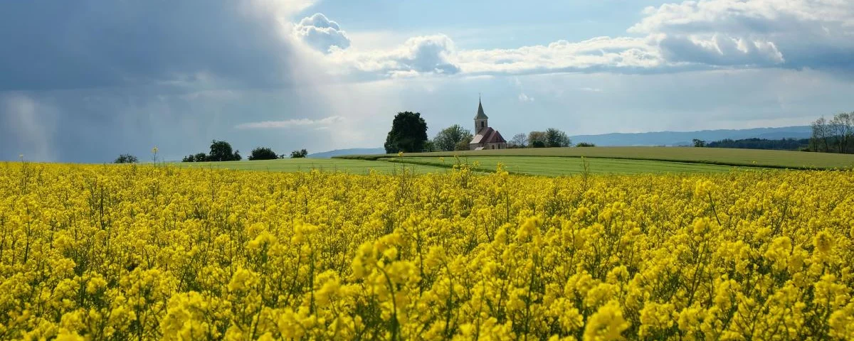 Kirche Rapsfeld