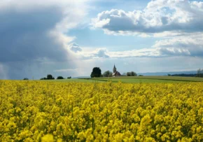 Kirche Rapsfeld